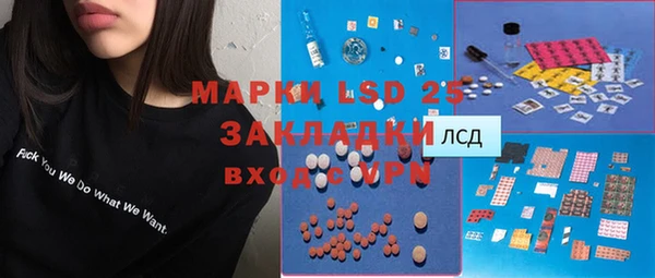 мяу мяу мука Абаза