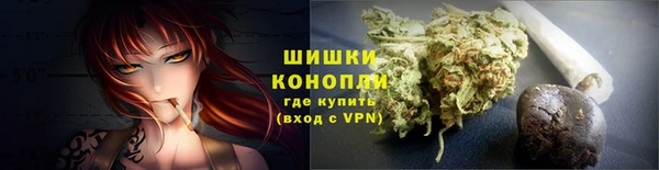 мяу мяу мука Абаза
