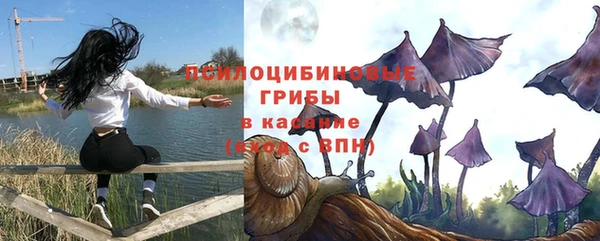 мяу мяу мука Абаза
