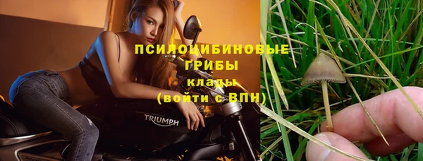 мяу мяу мука Абаза