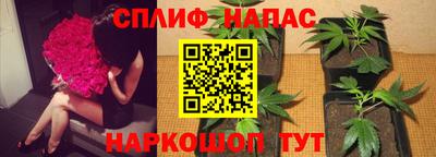 apvp Гусиноозёрск