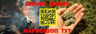 apvp Гусиноозёрск