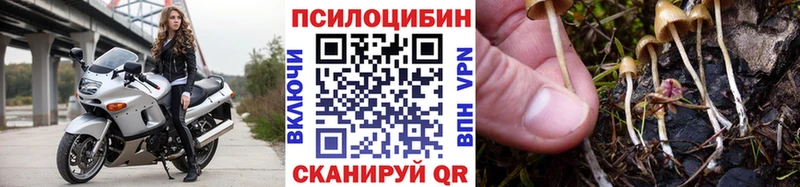 где купить   Грозный  Галлюциногенные грибы прущие грибы 